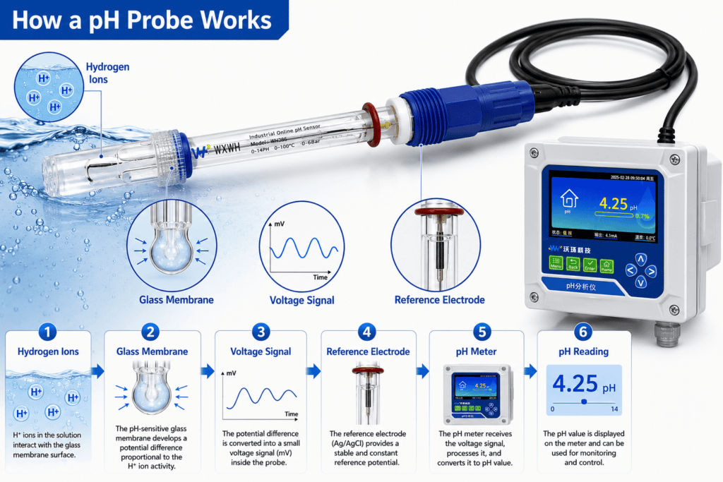 How a pH Probe Works