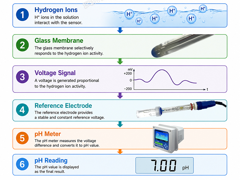 How a pH sensor converts hydrogen ions into a pH measurement